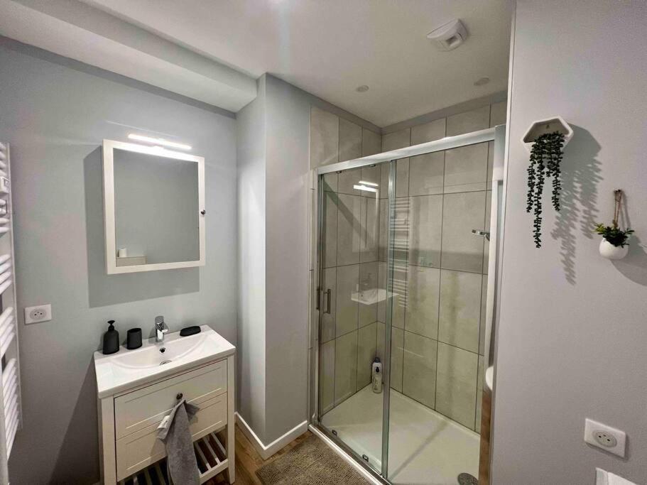 Appartement Climatise / Centre-Ville / 4 Personnes Безансон Экстерьер фото
